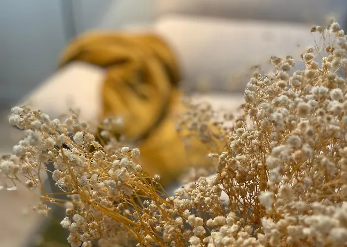 Hogar De 3 Acogedores